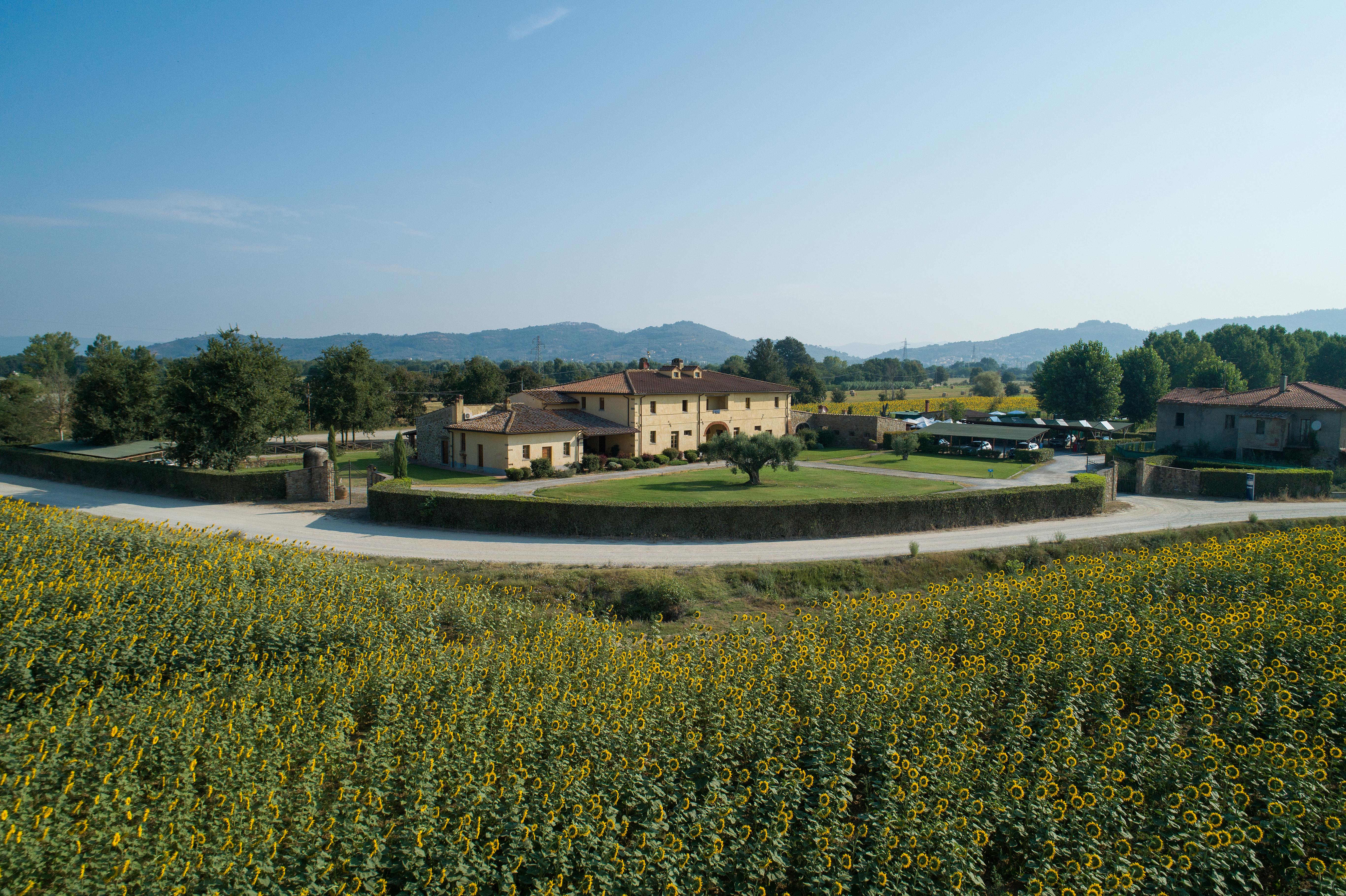 Hotel Le Capanne Αρέτσο Εξωτερικό φωτογραφία